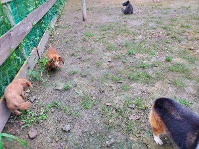 f:id:roukenhome-ann:20190829202541j:plain
