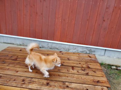 f:id:roukenhome-ann:20190829202548j:plain