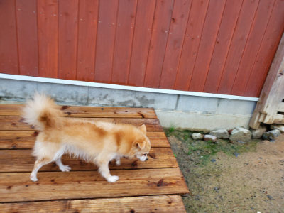 f:id:roukenhome-ann:20190829202555j:plain