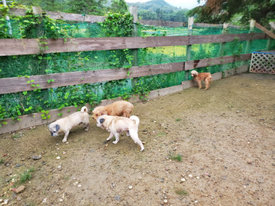 f:id:roukenhome-ann:20190829202635j:plain