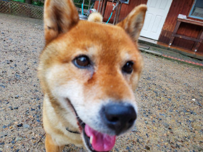 f:id:roukenhome-ann:20190829202644j:plain