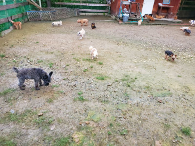 f:id:roukenhome-ann:20190829202701j:plain