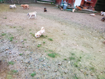 f:id:roukenhome-ann:20190829202729j:plain
