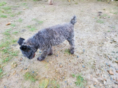 f:id:roukenhome-ann:20190829202747j:plain
