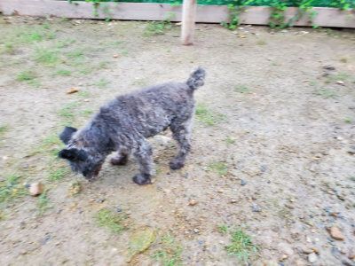 f:id:roukenhome-ann:20190829202755j:plain