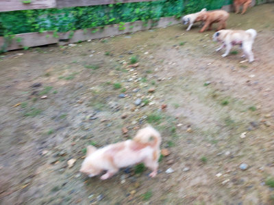 f:id:roukenhome-ann:20190829202800j:plain