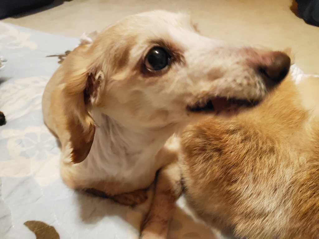f:id:roukenhome-ann:20190830211518j:plain