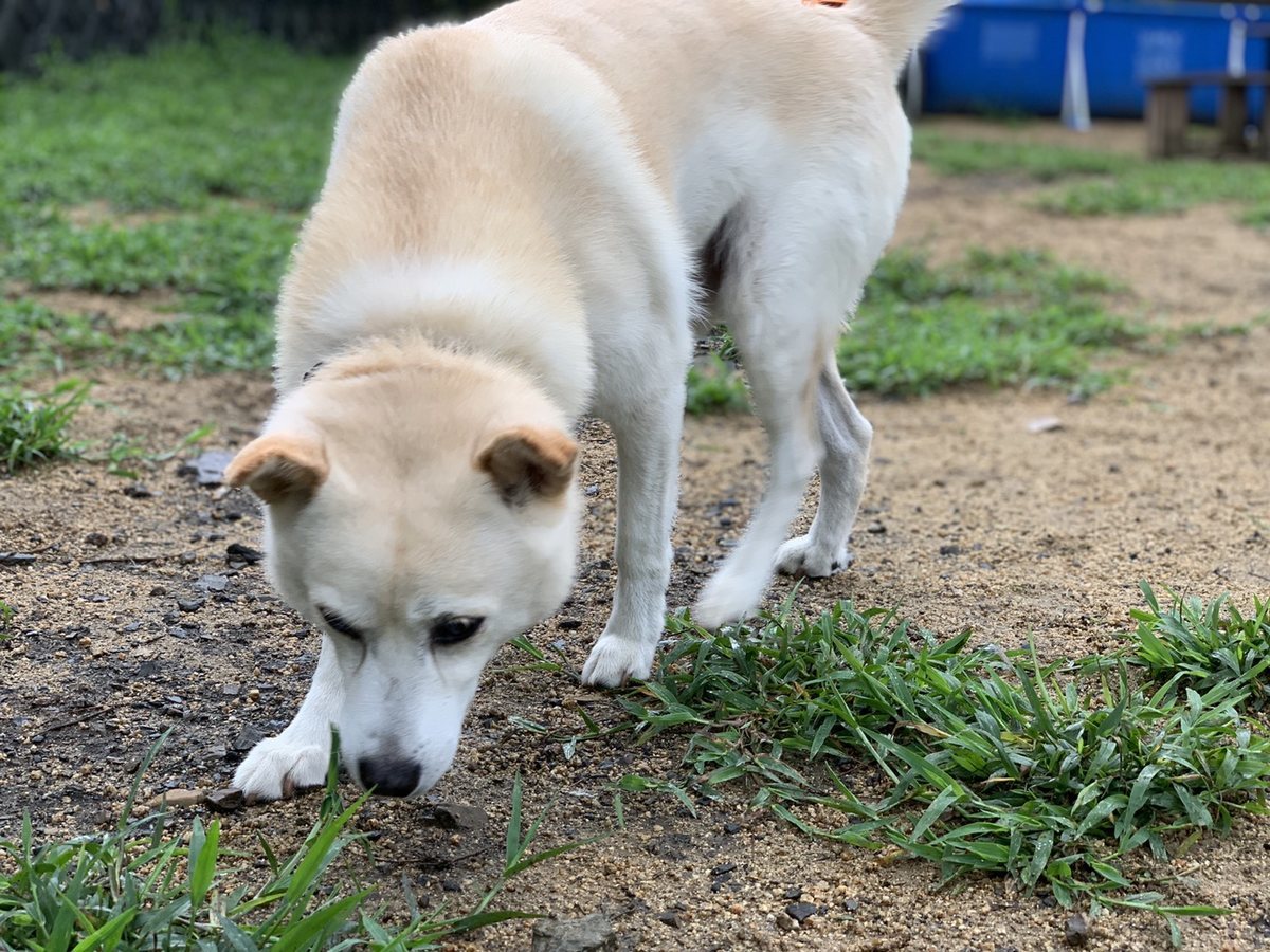 f:id:roukenhome-ann:20190830211531j:plain