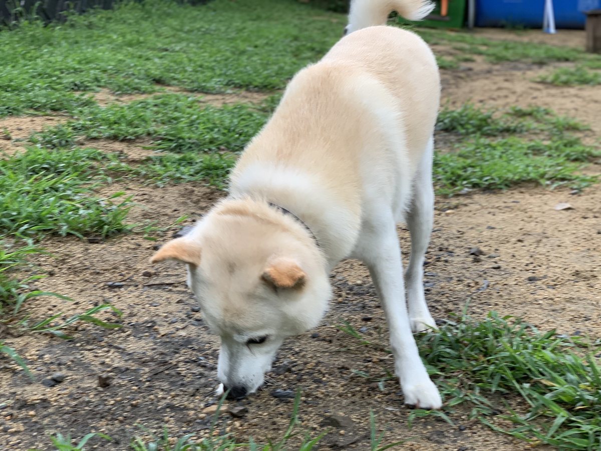 f:id:roukenhome-ann:20190830211546j:plain