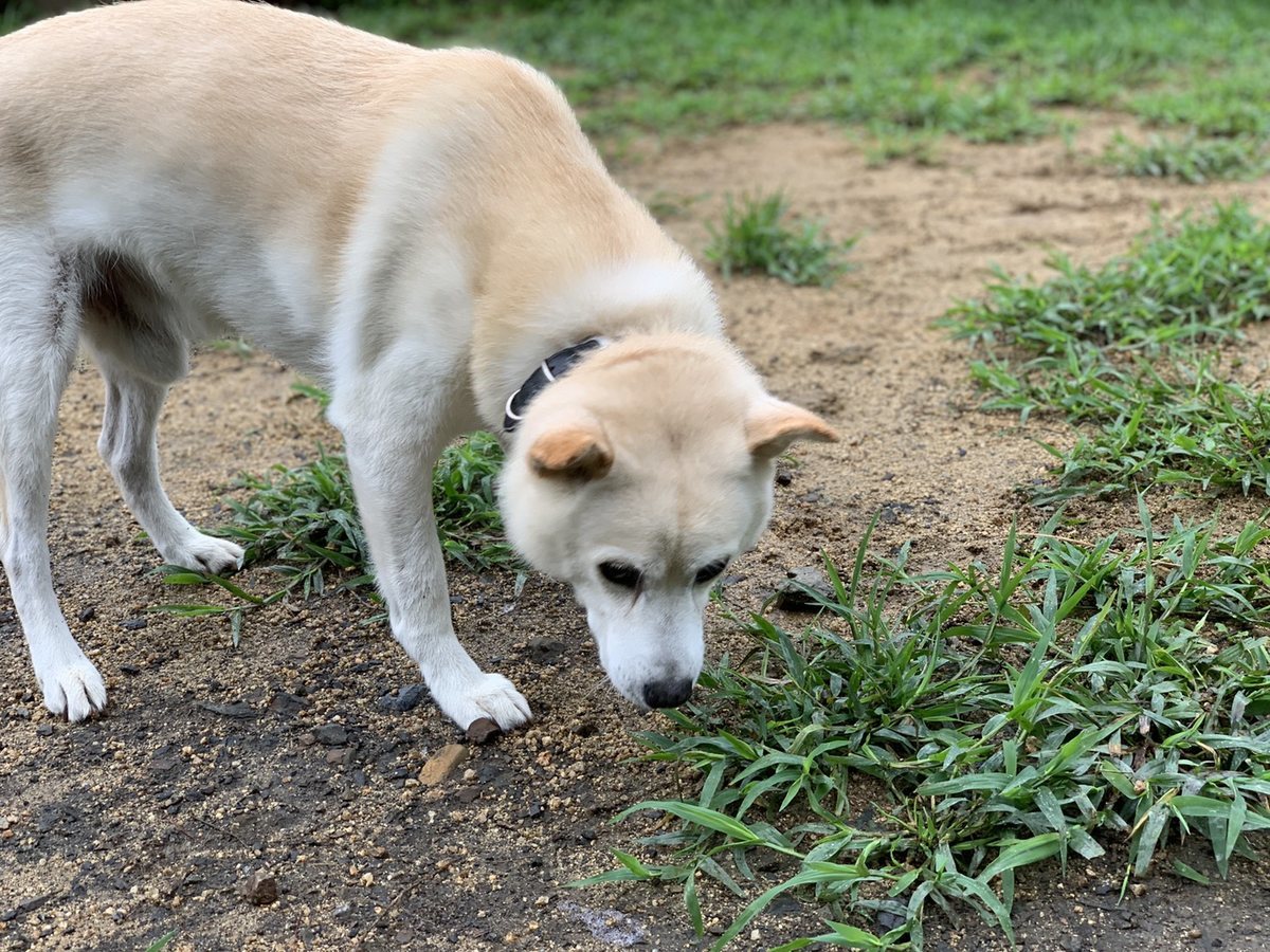 f:id:roukenhome-ann:20190830211610j:plain