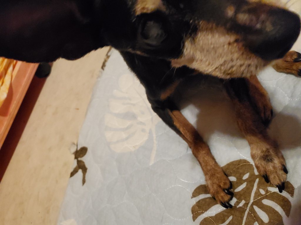 f:id:roukenhome-ann:20190830211825j:plain