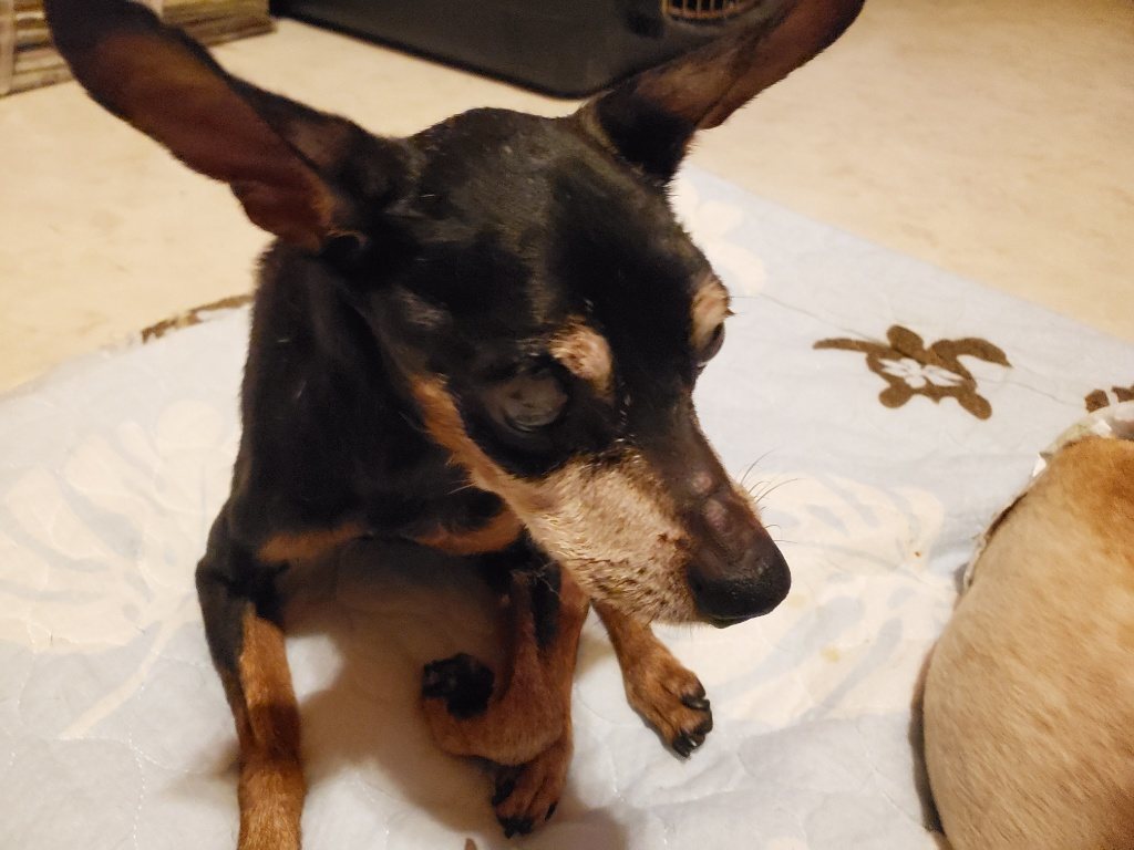 f:id:roukenhome-ann:20190830211833j:plain