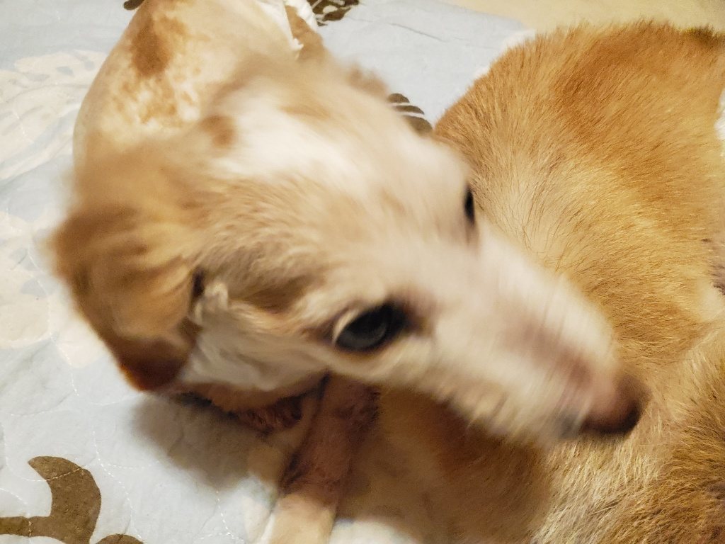 f:id:roukenhome-ann:20190830211901j:plain