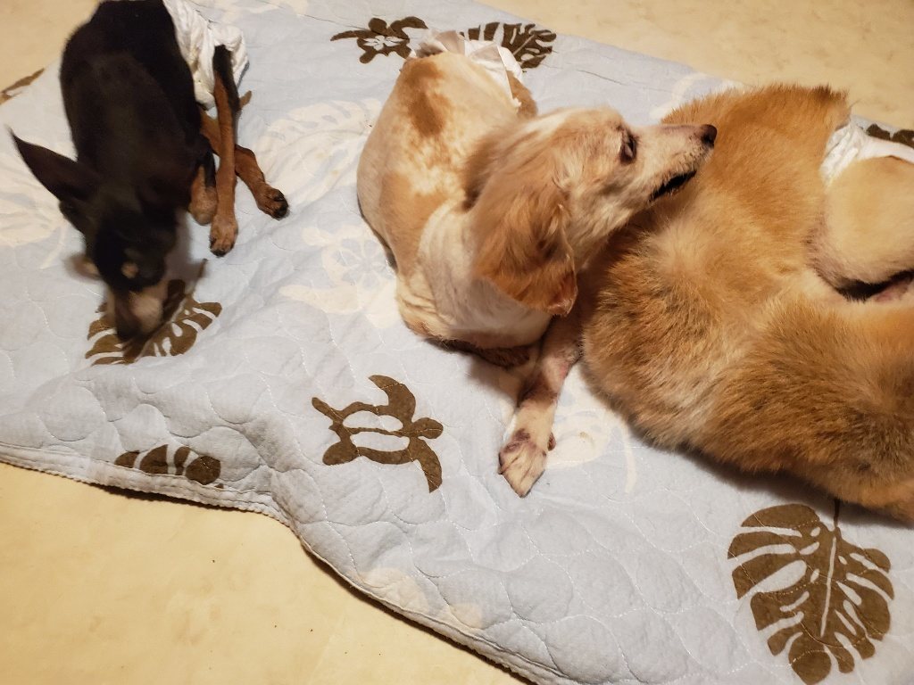 f:id:roukenhome-ann:20190830211909j:plain