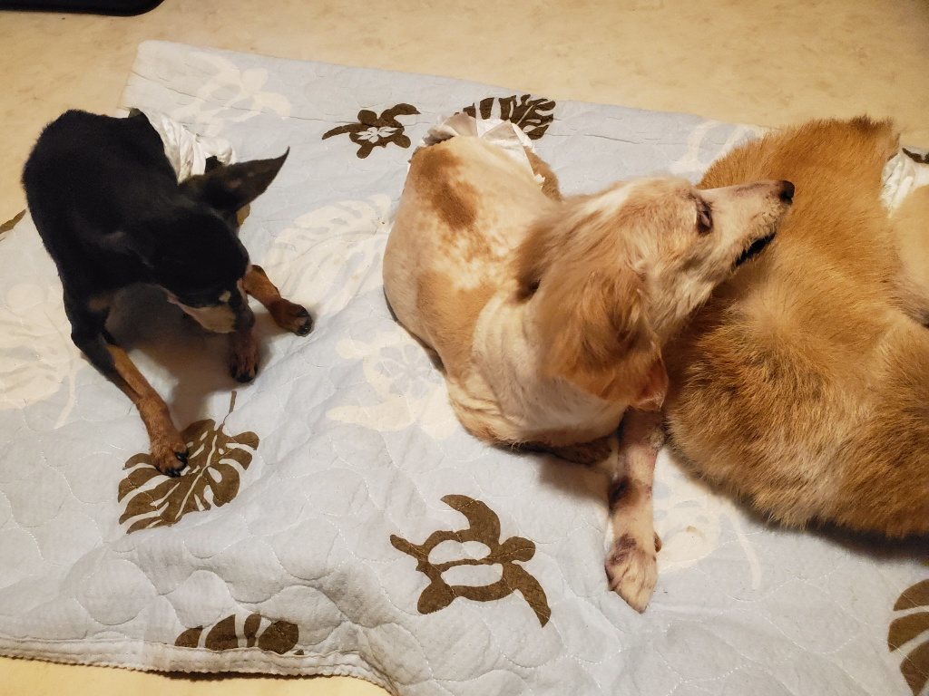 f:id:roukenhome-ann:20190830211932j:plain