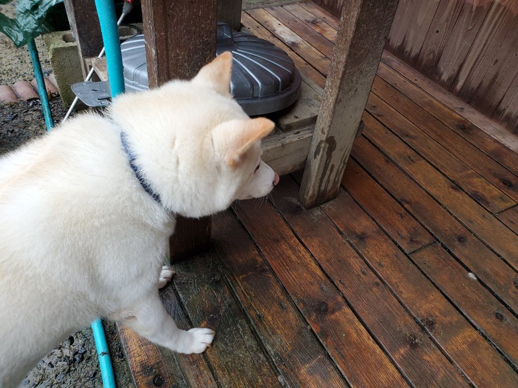 f:id:roukenhome-ann:20190830212259j:plain