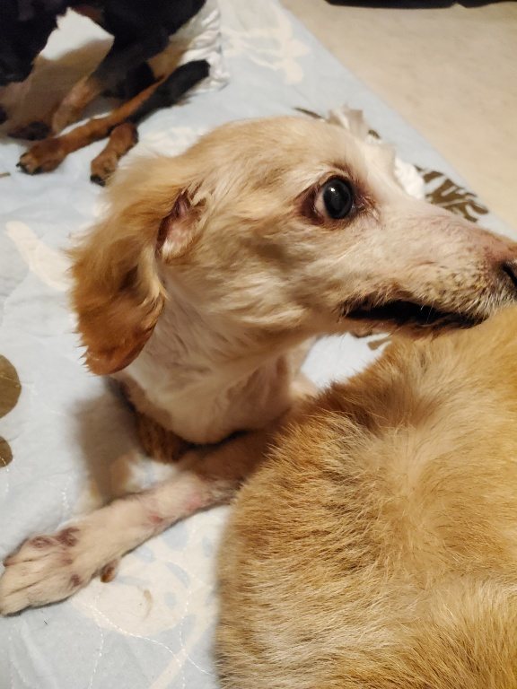 f:id:roukenhome-ann:20190830212331j:plain
