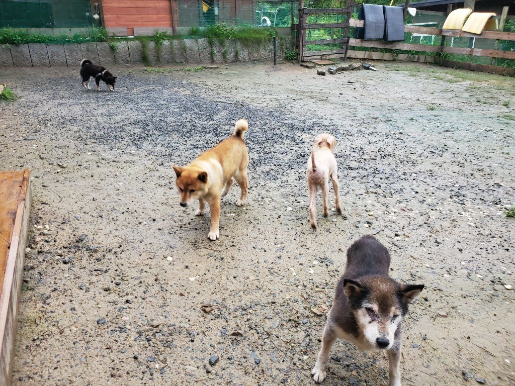 f:id:roukenhome-ann:20190830212509j:plain