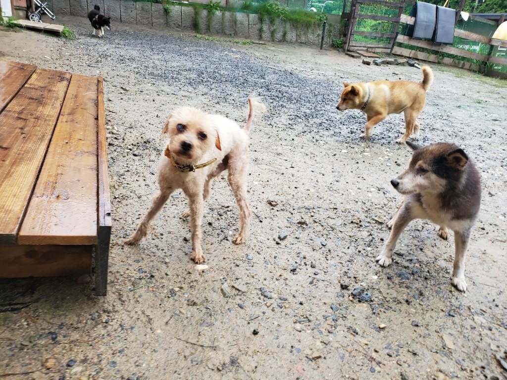 f:id:roukenhome-ann:20190830212525j:plain