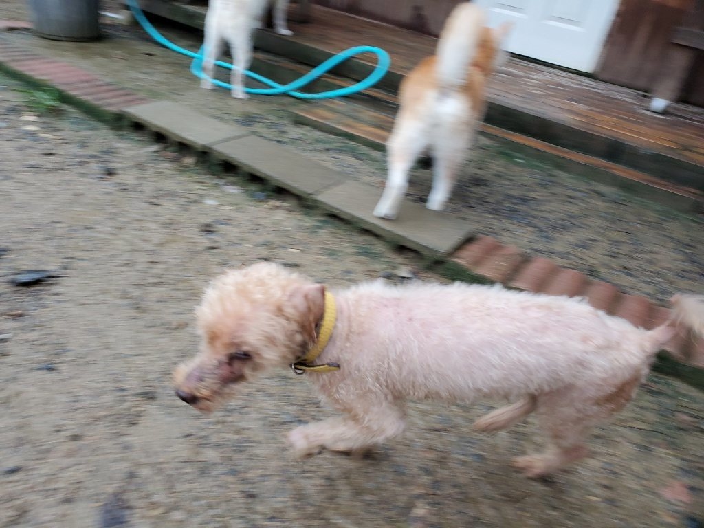 f:id:roukenhome-ann:20190830212546j:plain