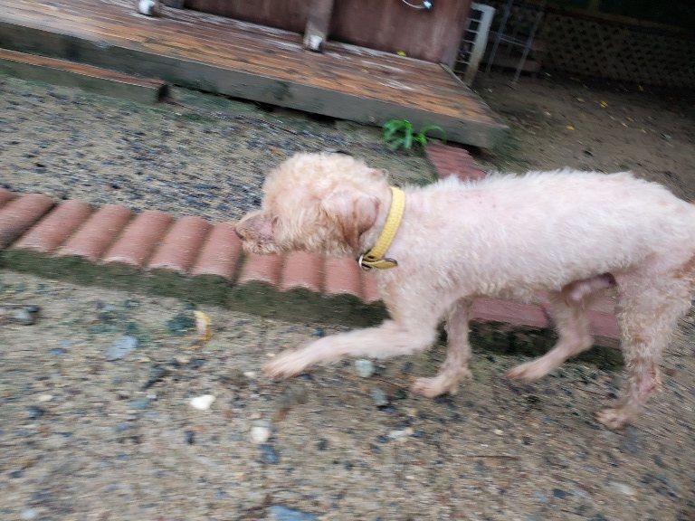 f:id:roukenhome-ann:20190830212558j:plain