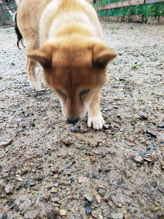 f:id:roukenhome-ann:20190830212748j:plain