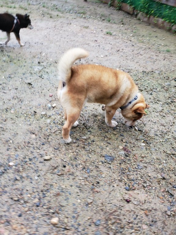 f:id:roukenhome-ann:20190830212816j:plain