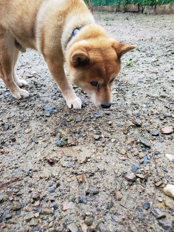 f:id:roukenhome-ann:20190830212829j:plain