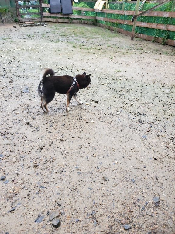 f:id:roukenhome-ann:20190830212847j:plain