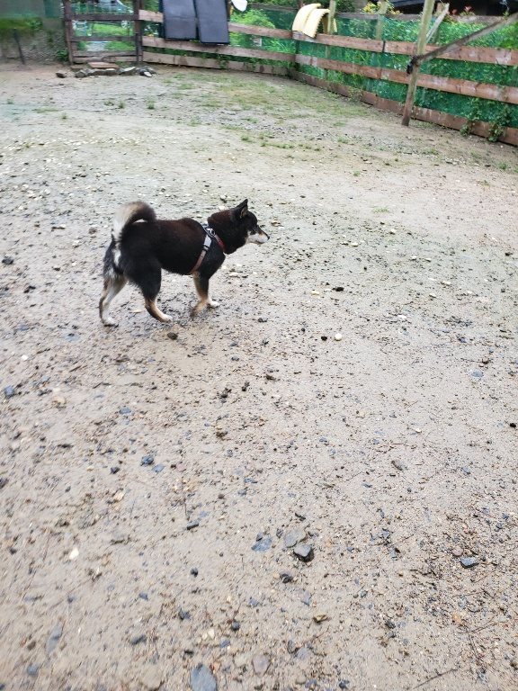 f:id:roukenhome-ann:20190830212909j:plain