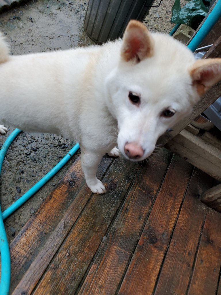 f:id:roukenhome-ann:20190830212933j:plain