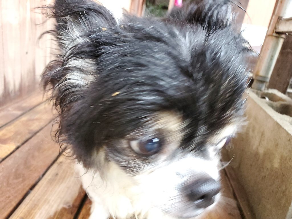 f:id:roukenhome-ann:20190830213035j:plain