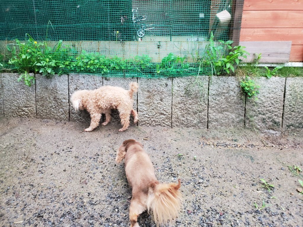 f:id:roukenhome-ann:20190830213111j:plain