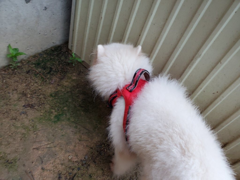 f:id:roukenhome-ann:20190830213152j:plain