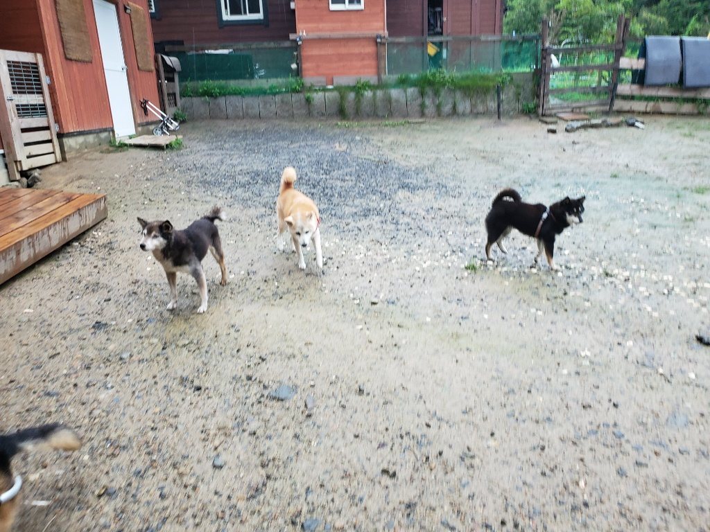 f:id:roukenhome-ann:20190830213233j:plain
