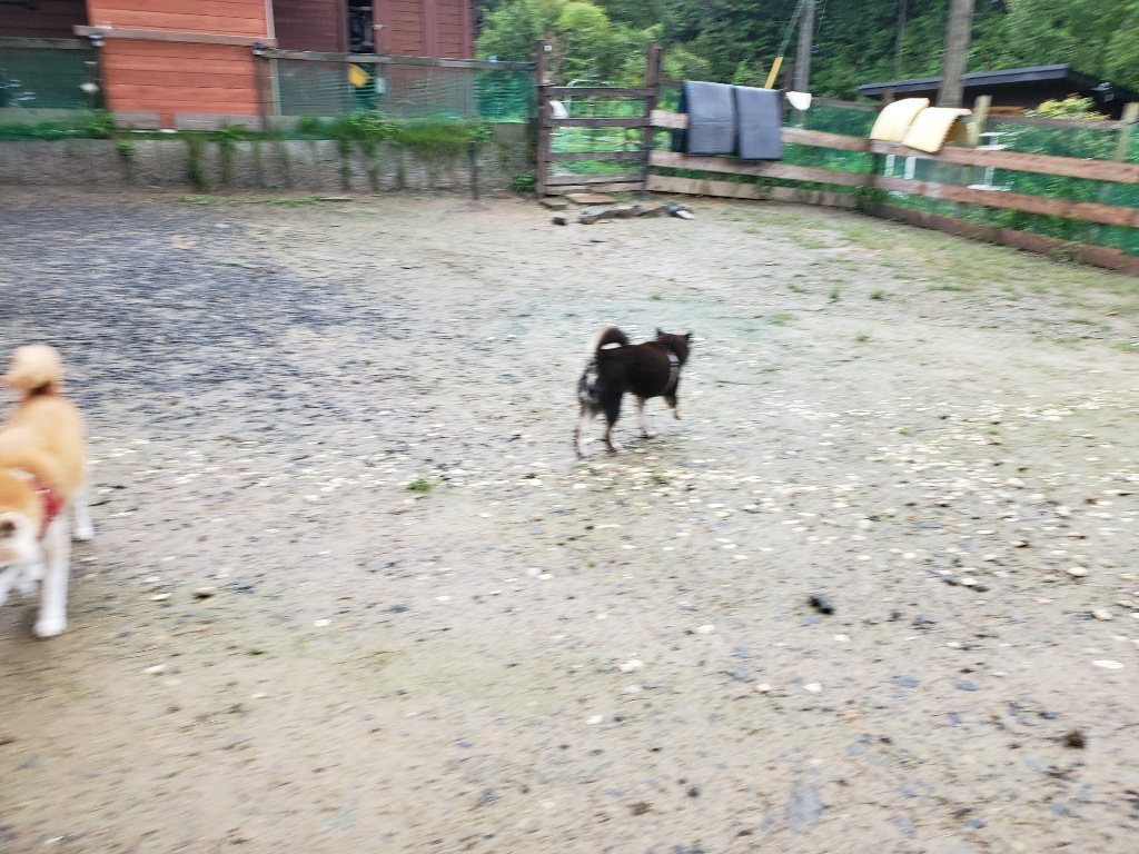 f:id:roukenhome-ann:20190830213244j:plain