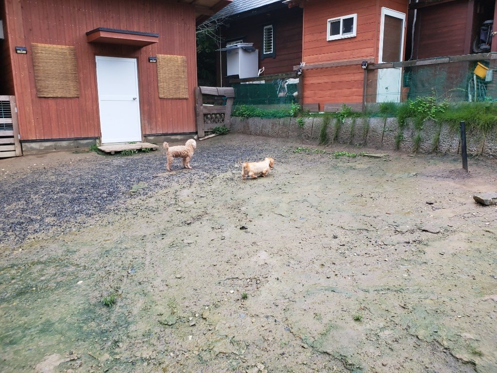 f:id:roukenhome-ann:20190830213323j:plain