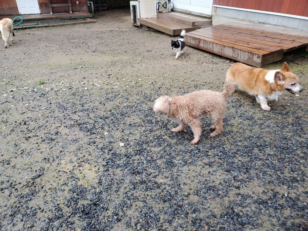 f:id:roukenhome-ann:20190830214544j:plain