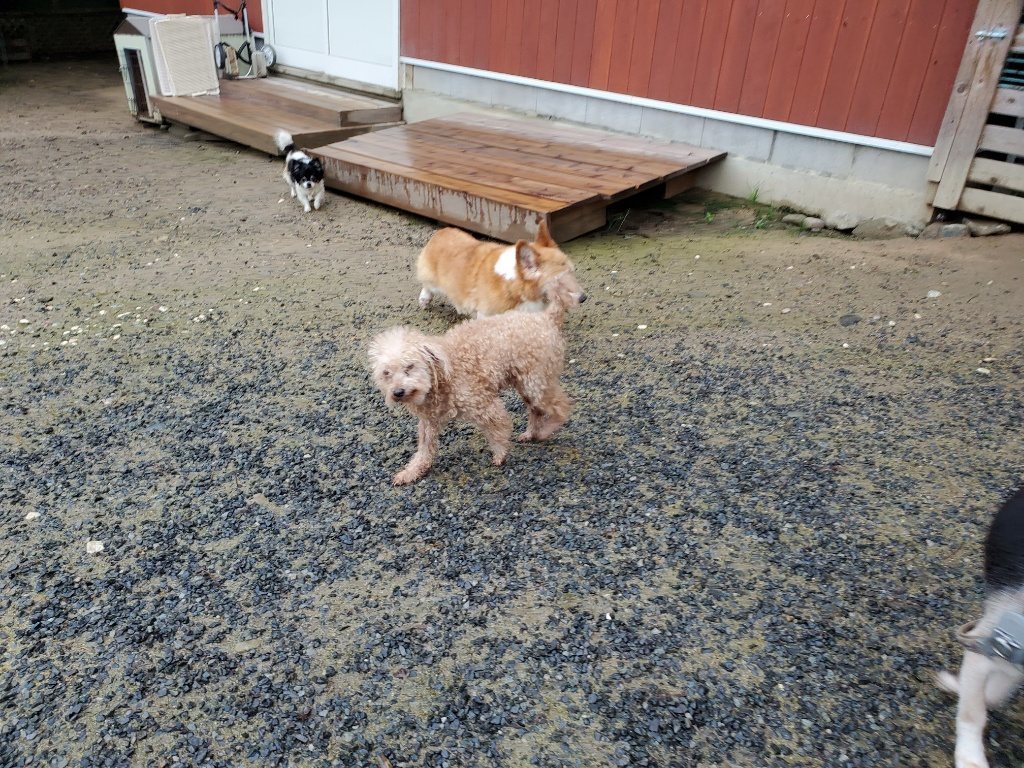 f:id:roukenhome-ann:20190830214553j:plain