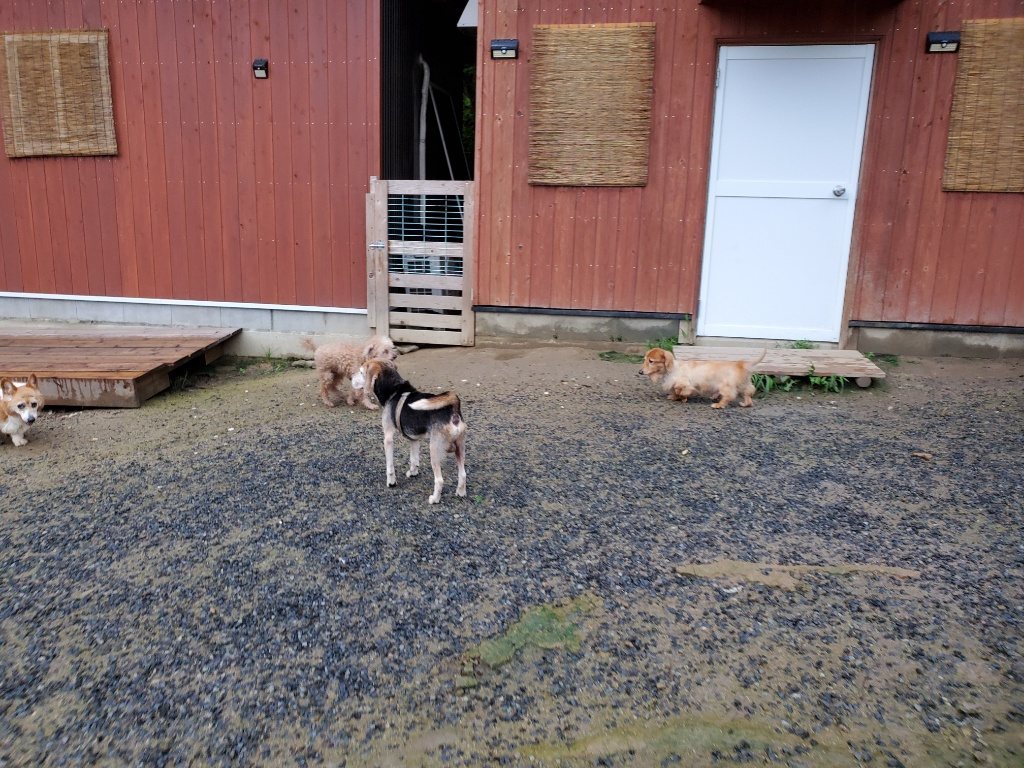 f:id:roukenhome-ann:20190830214613j:plain