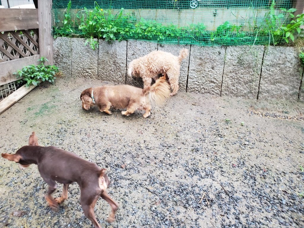 f:id:roukenhome-ann:20190830214634j:plain