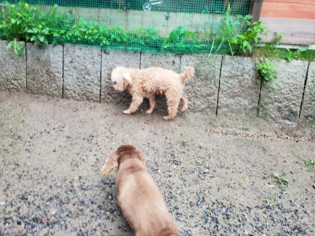 f:id:roukenhome-ann:20190830214647j:plain