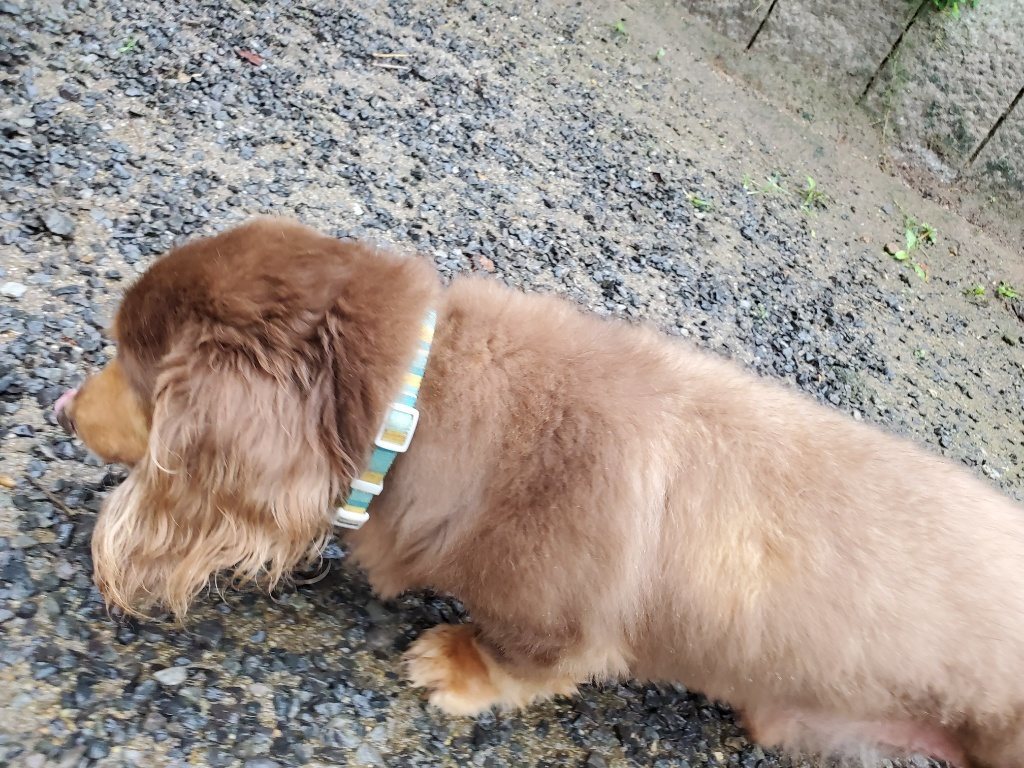 f:id:roukenhome-ann:20190830214658j:plain