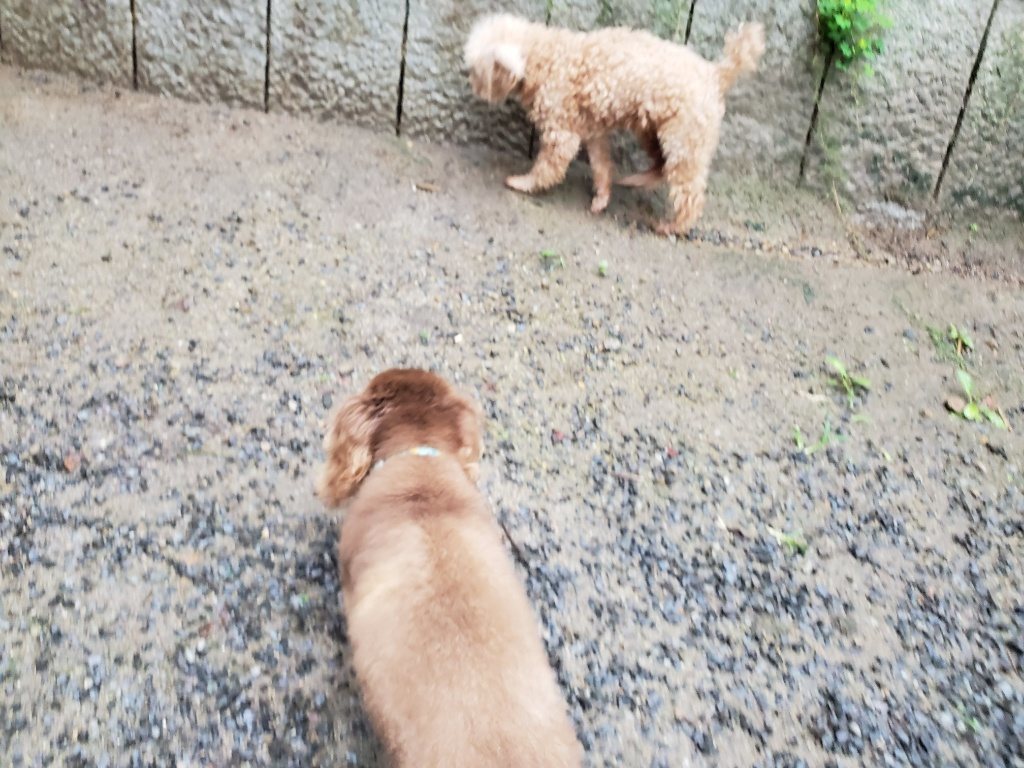 f:id:roukenhome-ann:20190830214705j:plain