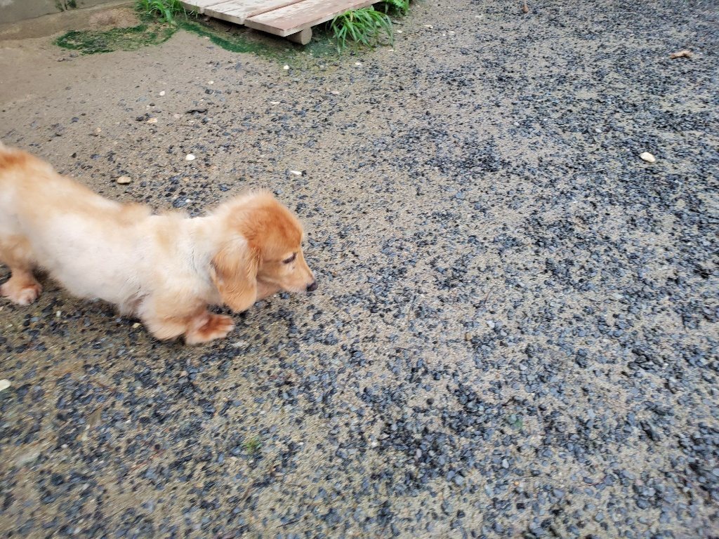 f:id:roukenhome-ann:20190830214810j:plain