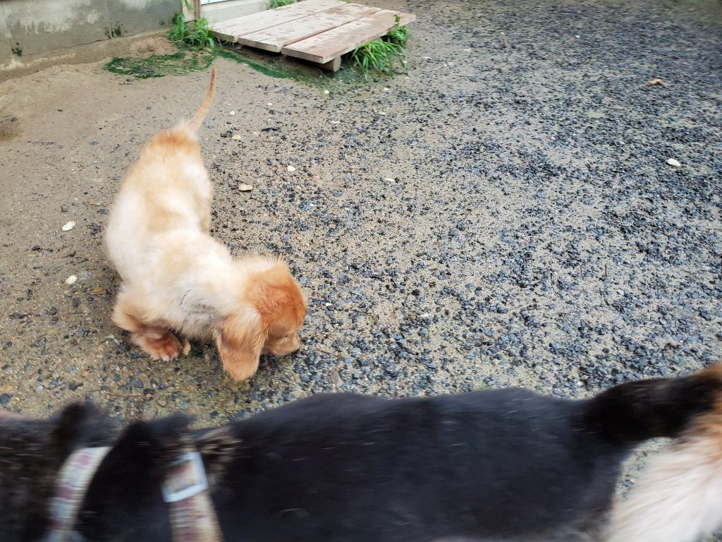 f:id:roukenhome-ann:20190830214832j:plain