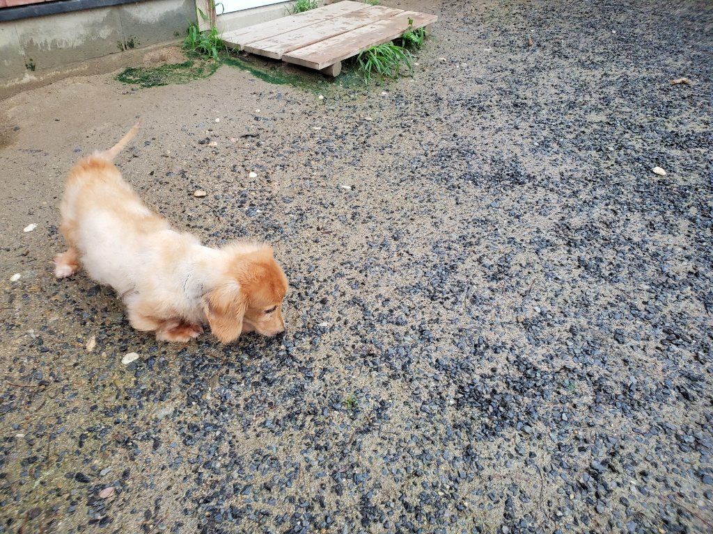 f:id:roukenhome-ann:20190830214851j:plain