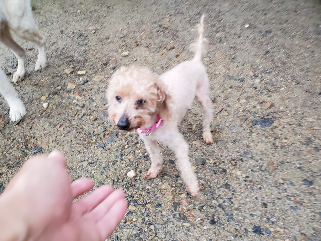 f:id:roukenhome-ann:20190830215317j:plain