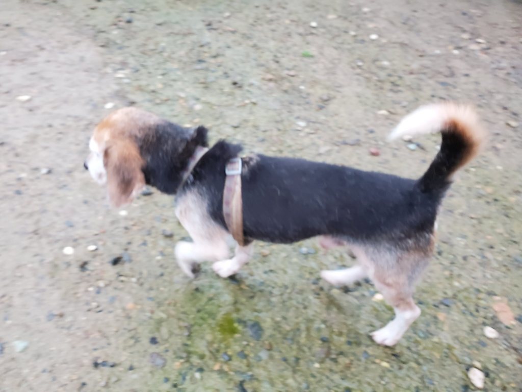f:id:roukenhome-ann:20190830215335j:plain