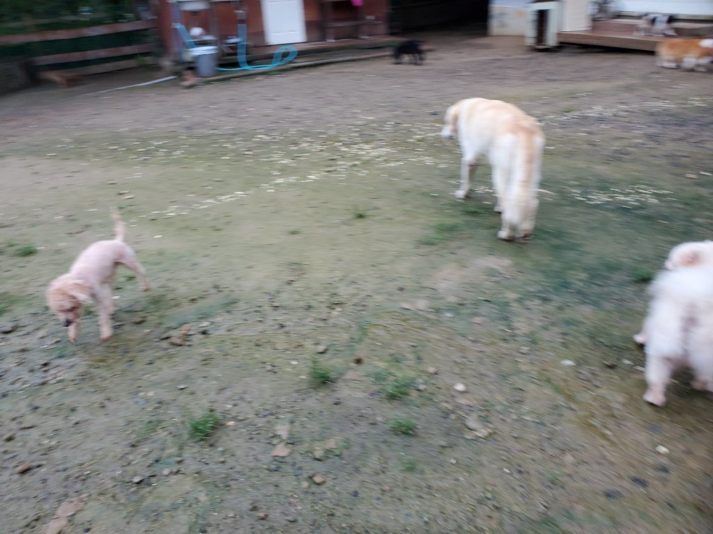 f:id:roukenhome-ann:20190830215424j:plain